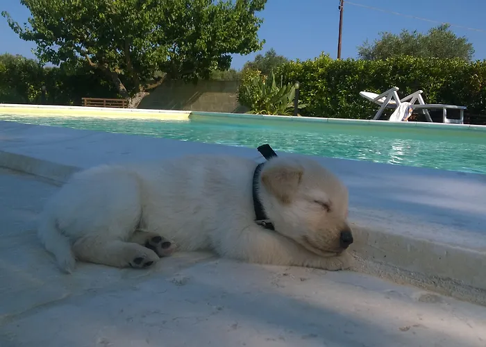 Aia Grande B&B 우기아노 라 치에사